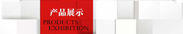 產(chǎn)品展示-鳳凰英語-南京2013